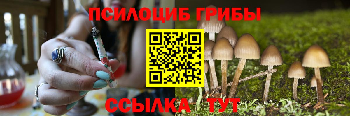 Псилоцибиновые грибы Magic Shrooms  где продают наркотики  Курчалой  Вход с VPN 