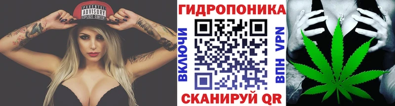 Канабис Bruce Banner  Курчалой 