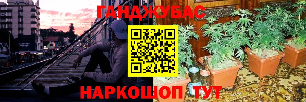 Курчалой  Канабис план  Вход с VPN  Шишки марихуана тримм 